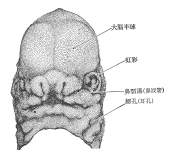 36ڂَ̑
